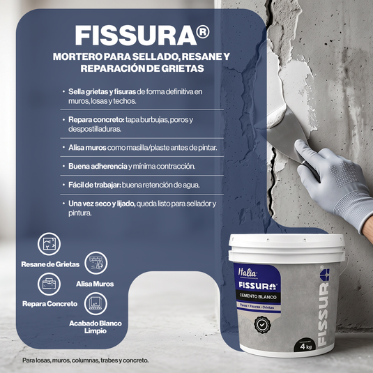 FISSURA